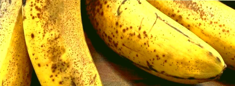 Photo of two old bananas with brown spots. Illustration with an article about the uses of overripe bananas (e.g., as an egg substitute). Name: 'Don’t freeze egkX'. By MagS, © 2023, MagS, Parsley-Lane Blog. All rights reserved.